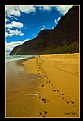 Picture Title - Beach walk