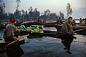 Picture Title - Vegetable Market on Dal Lake