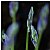 Shady Bluebell Buds