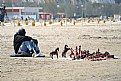 Picture Title - In spiaggia...