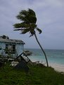 Picture Title - hurricane floyd victim