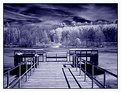 Picture Title - Dock