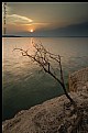 Picture Title - Canyon Lake 3