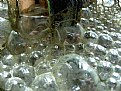 Picture Title - I´m all bubbly