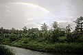 Picture Title - Morning Rainbow