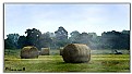 Picture Title - Making hay 2