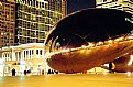 Picture Title - the bean