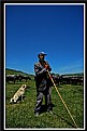 Picture Title - Shepherd&Dog