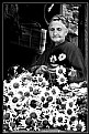 Picture Title - daisy & old woman