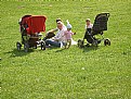 Picture Title - Young family