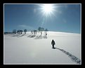 Picture Title - Way to the sun