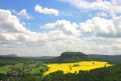 Picture Title - canola fields