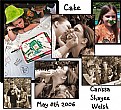 Picture Title - Cake Montage