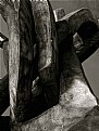Picture Title - Wood Intertwine