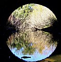 Picture Title - Bajo el puente/Under the bridge