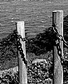 Picture Title - Two Poles