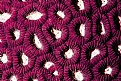 Picture Title - hard coral