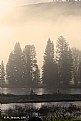 Picture Title - Snake River at Dawn