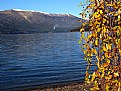 Picture Title - Lake & Falling Leaves