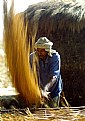 Picture Title - Threshing