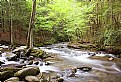 Picture Title - Cades Cove Stream