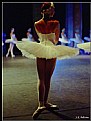 Picture Title - Swan Lake