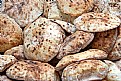 Picture Title - Local Bread