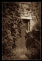 Picture Title - Garden Door