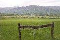 Picture Title - Cades Cove 3