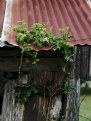 Picture Title - Borgfeld Barn