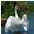 huggy swan