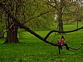 Picture Title - Tree&Children