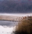 Picture Title - Narrow River Early Spring