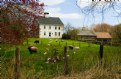 Picture Title - Spring-Rocky Meadow Farm