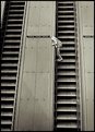 Picture Title - Escalator