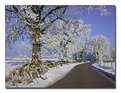 Picture Title - The winter road
