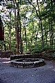 Picture Title - Mammoth Cave Fire Circle