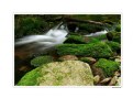 Picture Title - Cernohorsky stream
