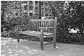 Picture Title - Bench B/W