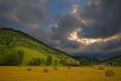 Picture Title - Farmland Light