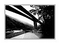 Picture Title - Bridge (7706)