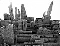Picture Title - life