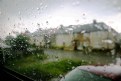 Picture Title - Through the Looking Glass