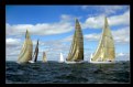 Picture Title - 12 Meter Fleet