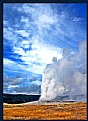 Picture Title - Old Faithful.jpg