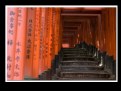 Picture Title - Fushimi Inari Taisha Shrine 