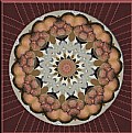 Picture Title - Me Kaleidoscope framed