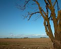 Picture Title - Blue