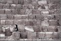 Picture Title - Pyramid Girl