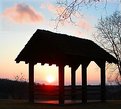 Picture Title - Bonsoir